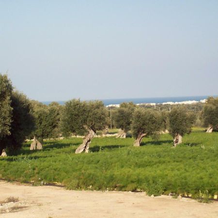 Masseria Ricci Φαζάνο Εξωτερικό φωτογραφία