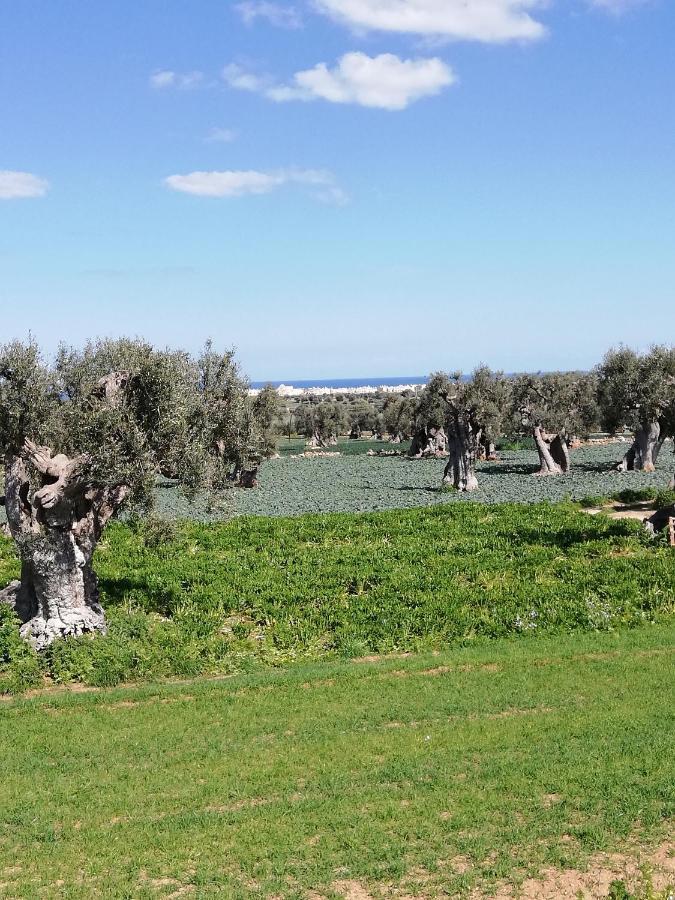 Masseria Ricci Φαζάνο Εξωτερικό φωτογραφία