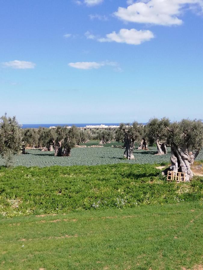 Masseria Ricci Φαζάνο Εξωτερικό φωτογραφία